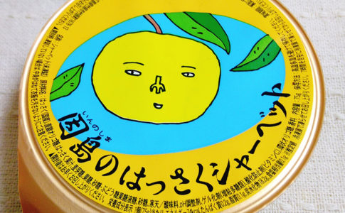 NPO法人ローカル・パイン・トーキョー マルシェ 広島県 美味しい レモン 因島はっさくシャーベット